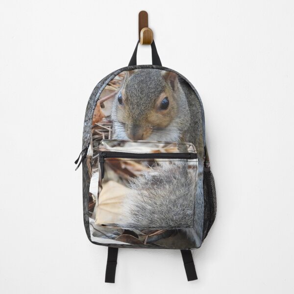 Item preview, Cute Squirrel #0044 designed and sold by Jeffrey Mask.