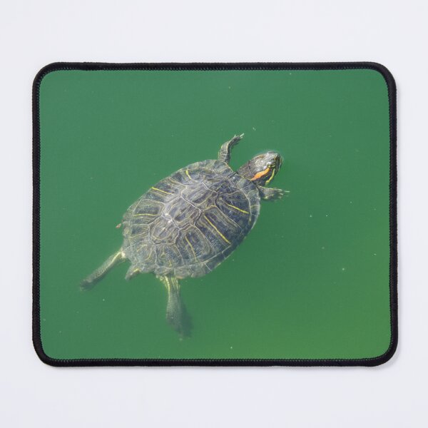Item preview, Red Eared Slider Turtle designed and sold by The Botanical Jason.