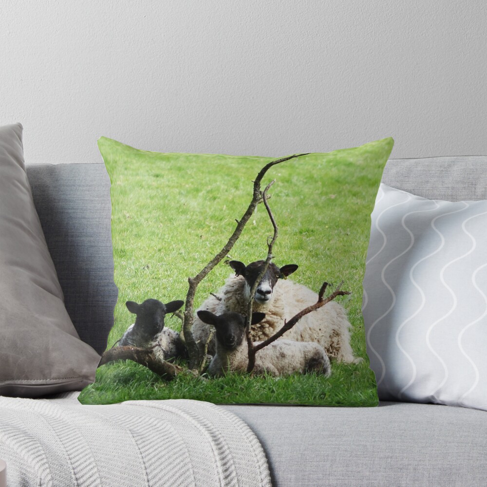 Item preview, Throw Pillow designed and sold by frogs123.
