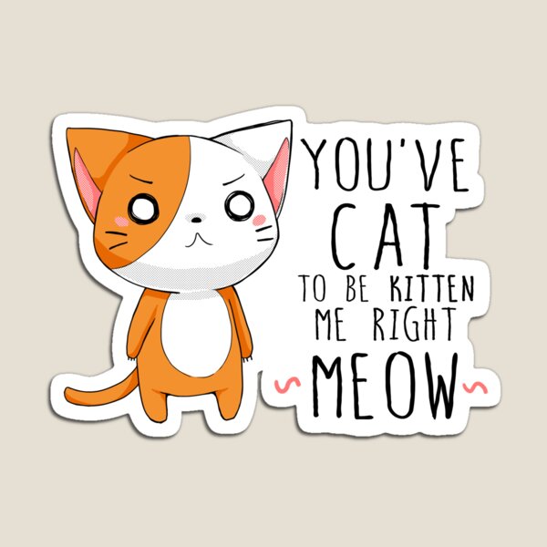 Produits Sur Le Theme Jeu De Mots Chat Redbubble