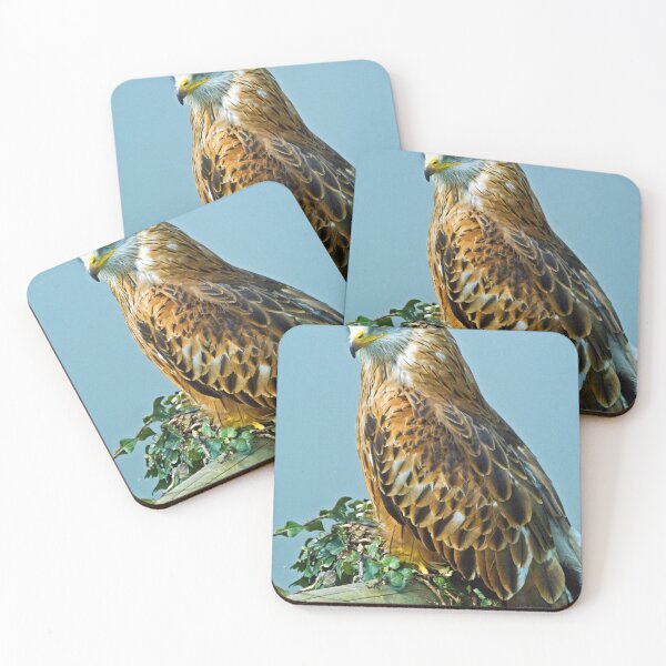 Item preview, Red Kite Perching  designed and sold by Cameranick.