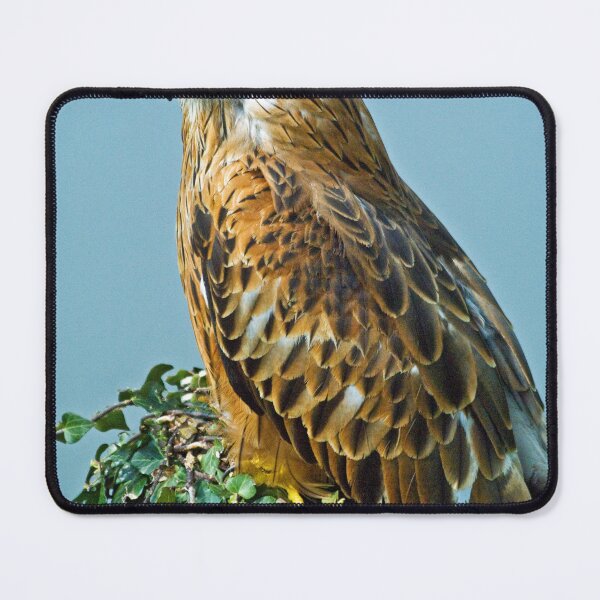Item preview, Red Kite Perching  designed and sold by Cameranick.