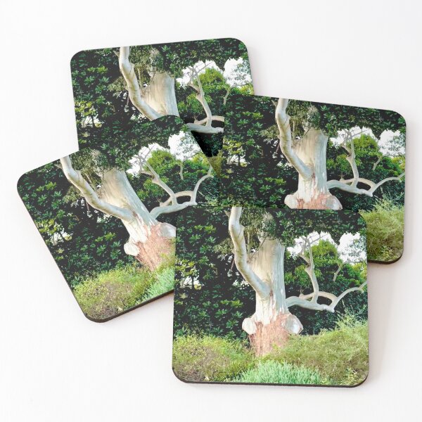 Item preview, Tree From Sydney Botanic Garden  designed and sold by KazM.