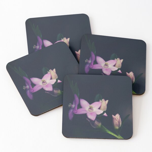 Item preview, Australian Flora - Dark Botanical Pink Waxflower designed and sold by Cloudlingpics.