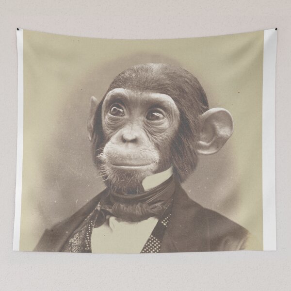 Item preview, Retro Picture Chimpanzee - Print / Home Decor / Wall Art / Poster / Gift / Birthday / Chimpanzee Lover Gift / Animal print Canvas Print designed and sold by Furry And  Purry.