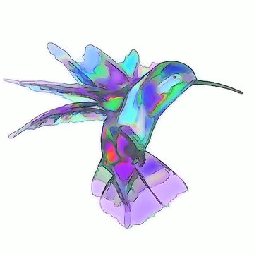 Artwork thumbnail, Hummingbird by mrthink