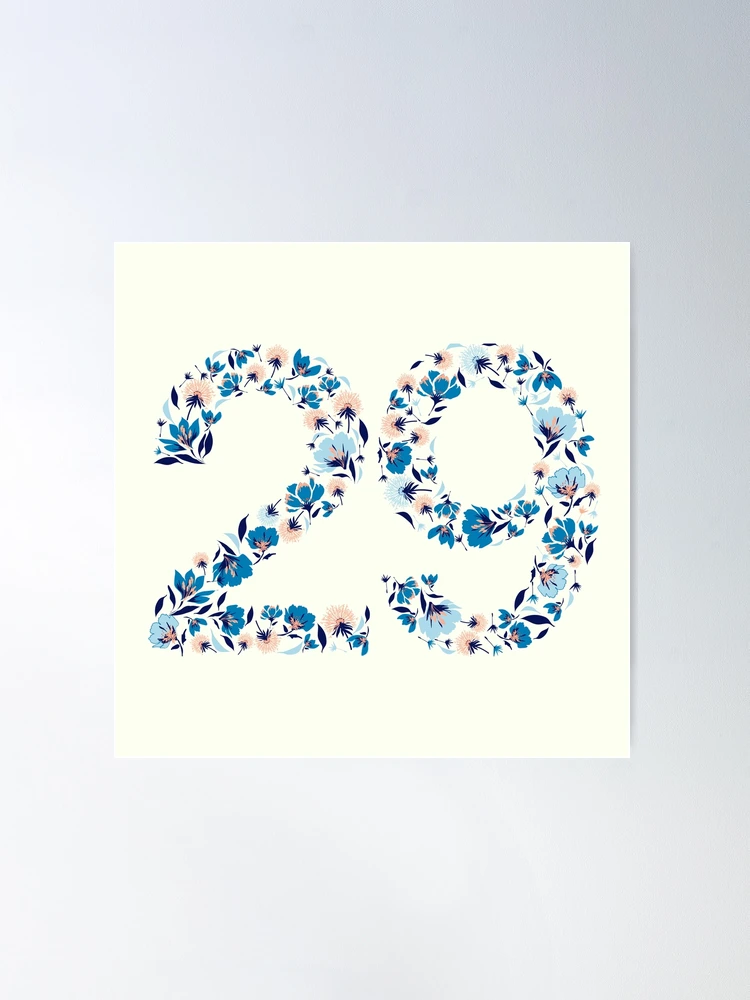 ◆◆ CD 29～Twenty-nine ◆◆ Numeral 29, twenty nine, isolated on white background, 3d