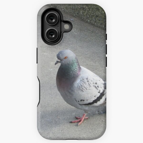 Item preview, Pigeon  designed and sold by Bubbleguppies.