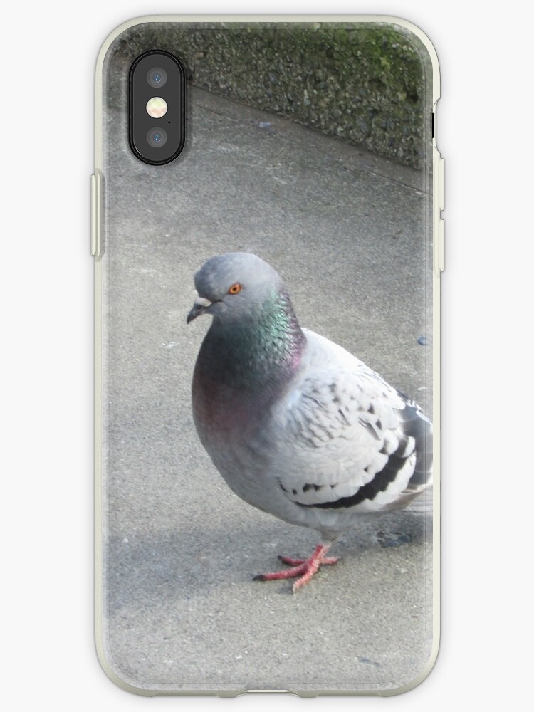 coque iphone 6 pigeon