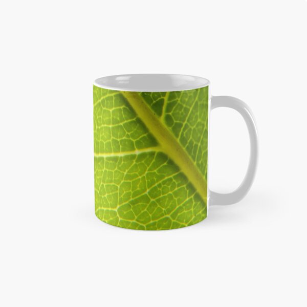 Item preview, Photosynthesis designed and sold by Cropfactorgroup.