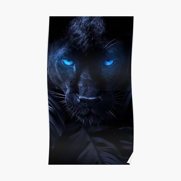 "black panther blue eyes" Poster for Sale by conection | Redbubble