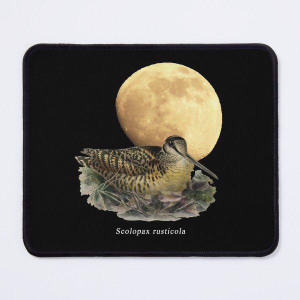 Item preview, OBV - Woodcock Moon 2 designed and sold by vb66.