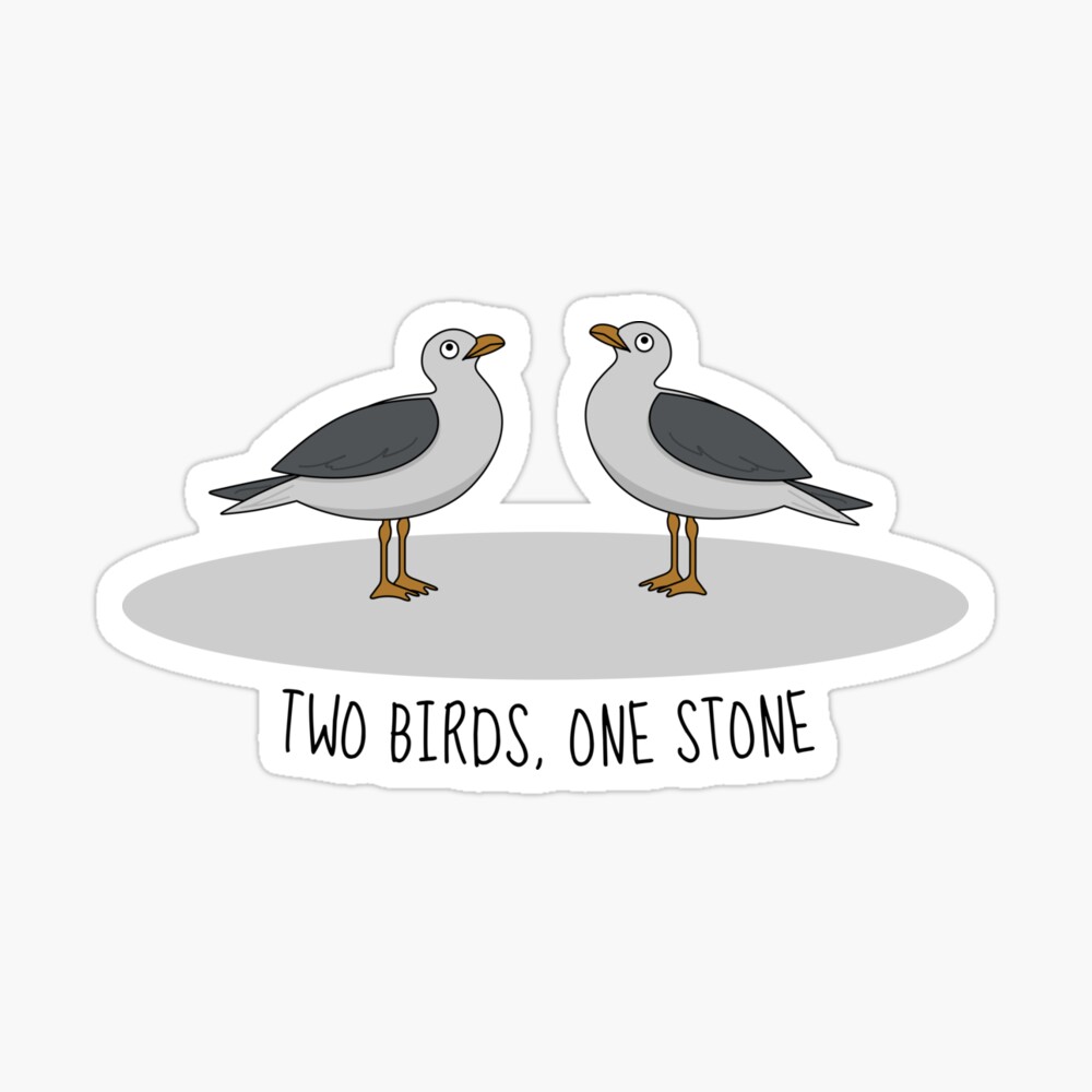Kill Two Birds With One Stone Postcard