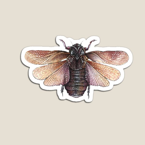 Cockroach Magnet