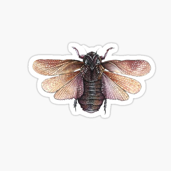 Cockroach Sticker