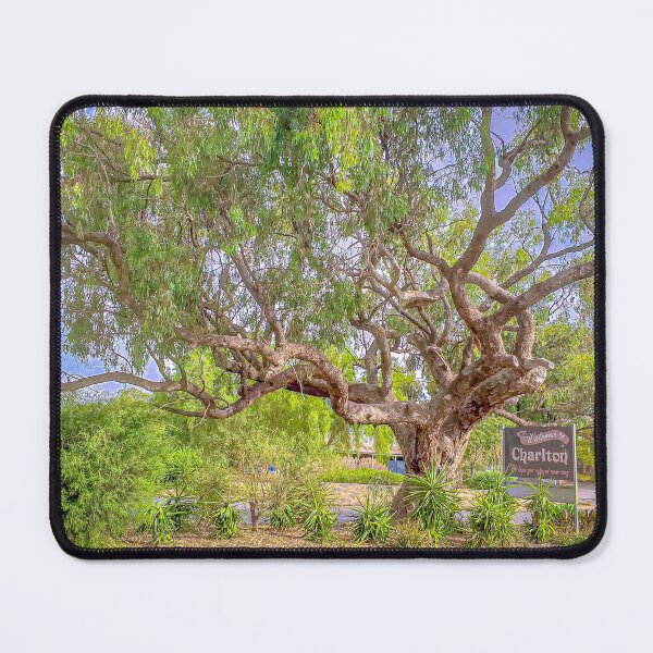 Item preview, The Gum Tree at the Charlton Rest Stop designed and sold by Steven Jodoin.