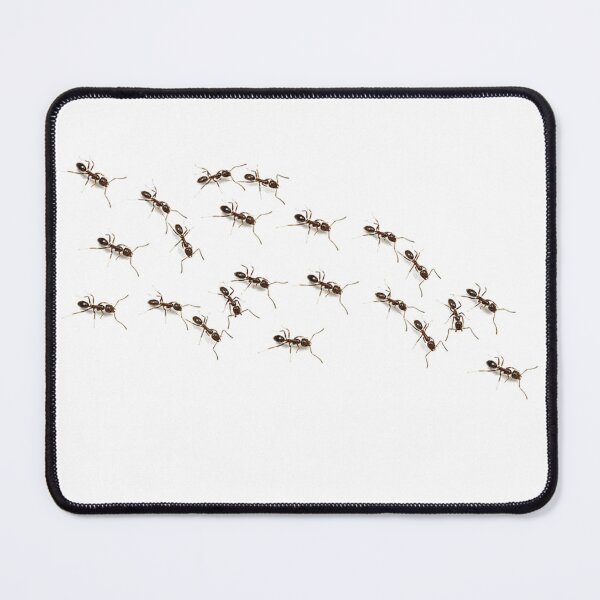 Item preview, Ants designed and sold by Focal-Art.