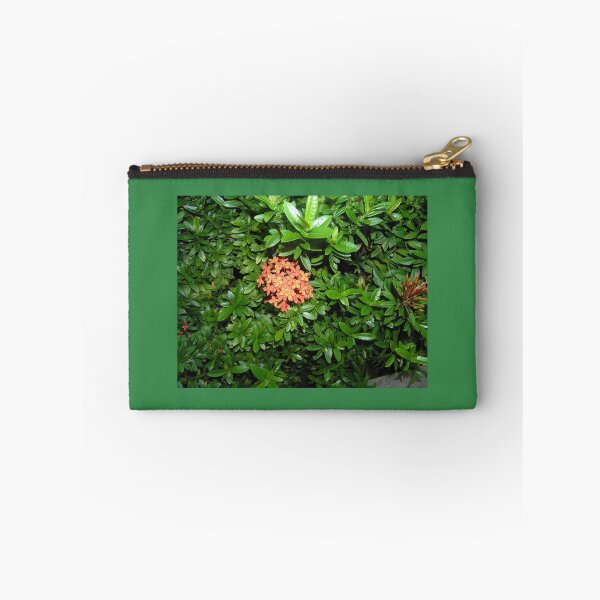Aperçu de l'œuvre fleur tropicale créée et vendue par BeLavender.