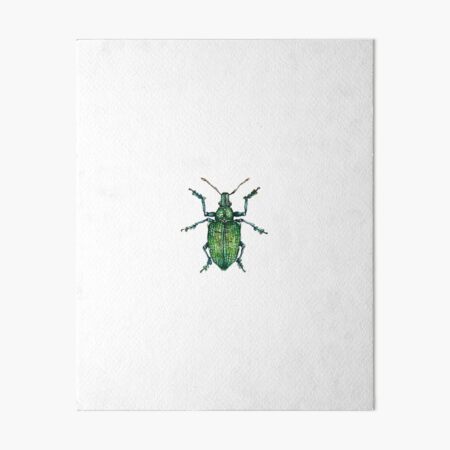 Green Bug Art Board Print