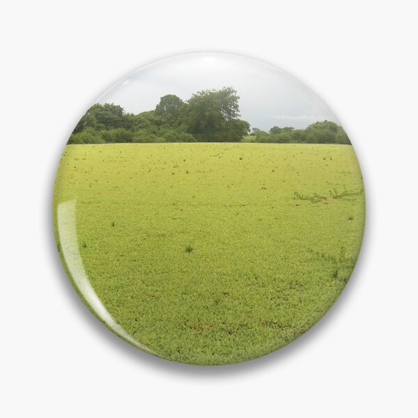 Item preview, green swamp Venezuela designed and sold by BeLavender.