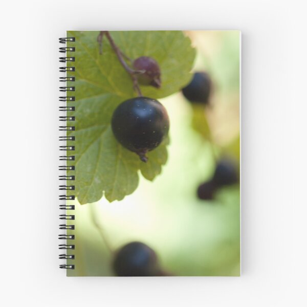 Item preview, A dotted berry designed and sold by Gabriele Maurus.