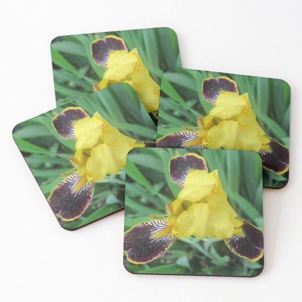 Item preview, Yellow Iris designed and sold by Shulie1.