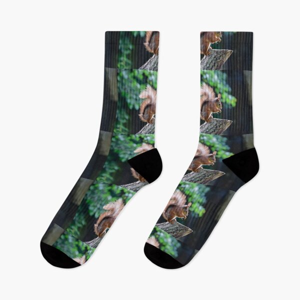 Item preview, Classic Red Squirrel designed and sold by InterestingImag.
