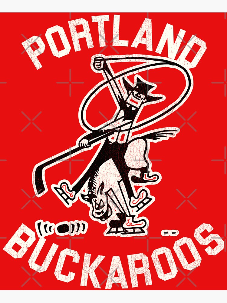 Defunct Portland Pirates Hockey Team - Hockey - Magnet