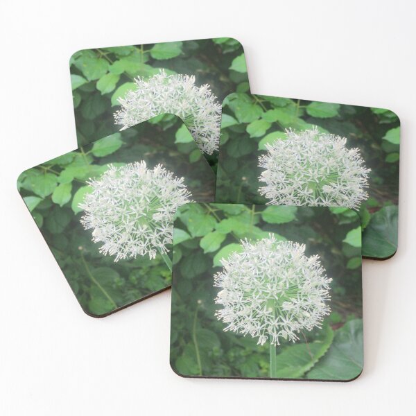 Item preview, White Allium designed and sold by Shulie1.