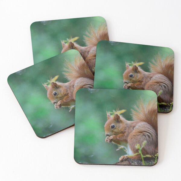 Item preview, Cute Red Squirrel designed and sold by InterestingImag.