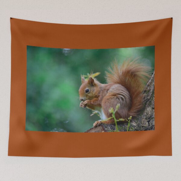 Item preview, Cute Red Squirrel designed and sold by InterestingImag.