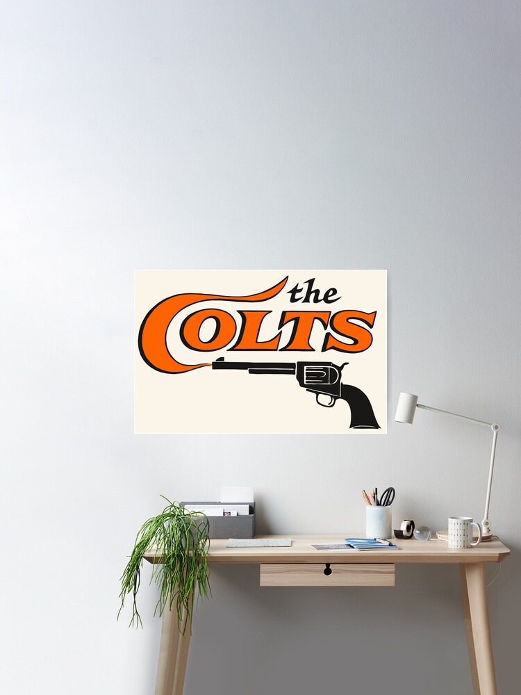 Houston Colt 45s Retro Defunct Baseball  Poster for Sale by TheBenchwarmer