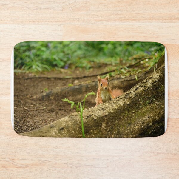 Item preview, Nosy Red Squirrel designed and sold by InterestingImag.