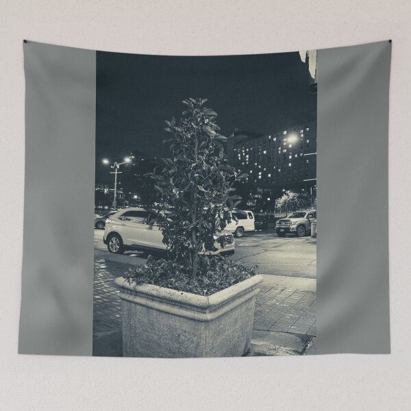 Artikelvorschau, Pflanze entworfen und verkauft von Carly-Chapman.
