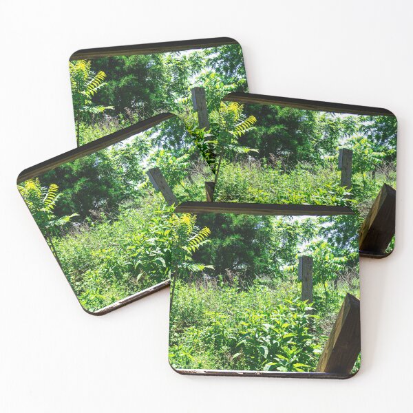 Item preview, Frame In Nature designed and sold by Lauren1235.