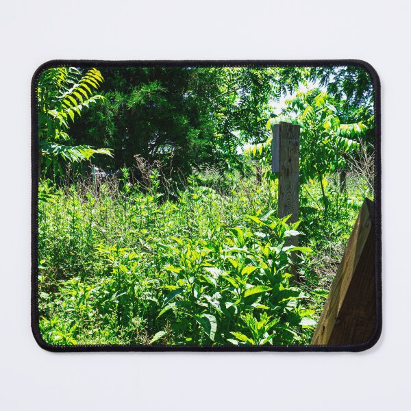 Item preview, Frame In Nature designed and sold by Lauren1235.