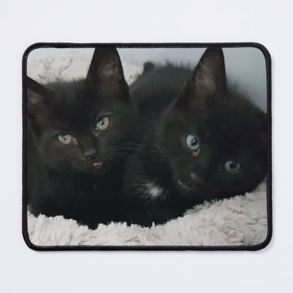 Item preview, Little Black Kittens designed and sold by liliaparacosm.
