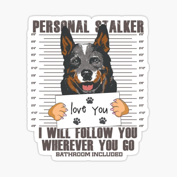 Aperçu de l'œuvre Blue Heeler Australian Cattle Dog Stalker Cartoon créée et vendue par MrEddie10.