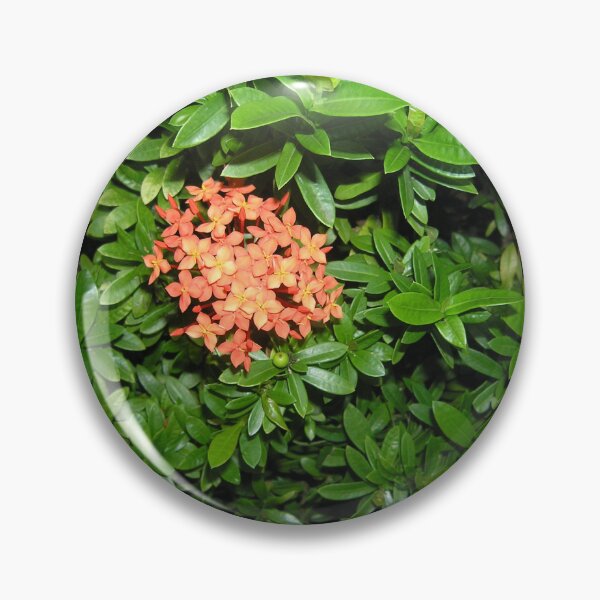 Item preview, tropical flower designed and sold by BeLavender.