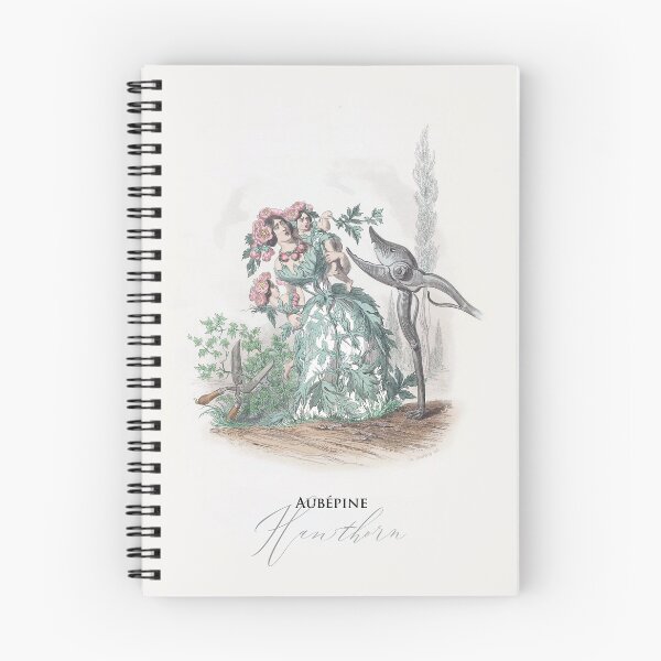 Item preview, JJ Grandville: Aubépine/Hawthorn from Les fleurs animées designed and sold by ebrawne.