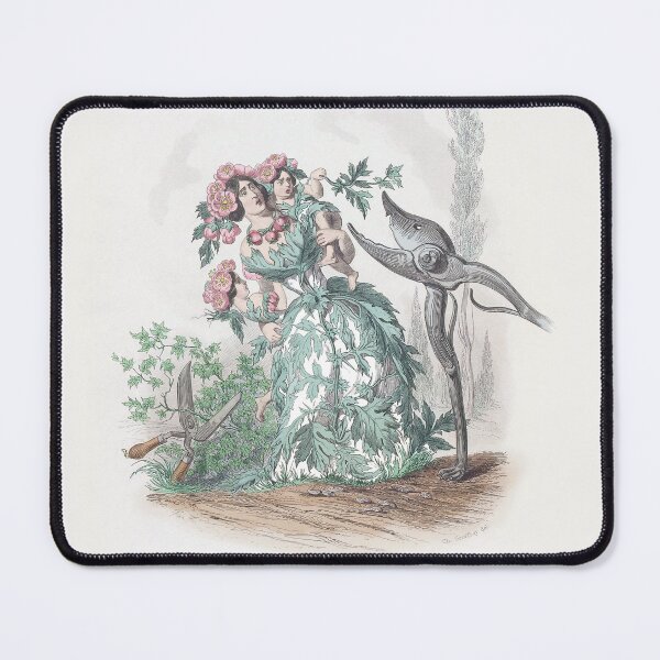 Item preview, JJ Grandville: Aubépine/Hawthorn from Les fleurs animées designed and sold by ebrawne.