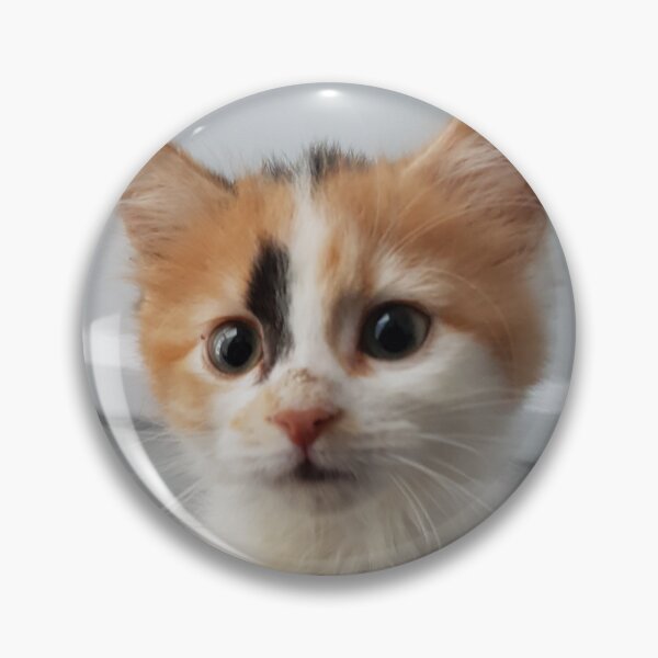 Item preview, Little Kitten designed and sold by liliaparacosm.
