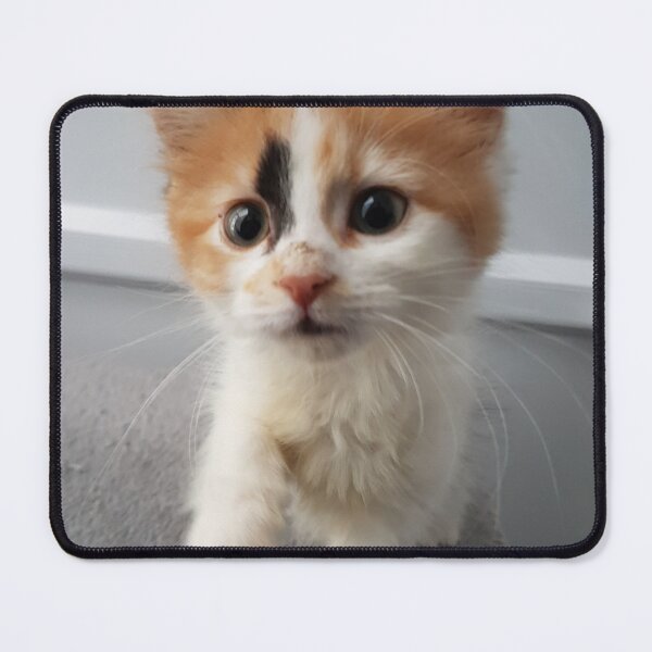 Item preview, Little Kitten designed and sold by liliaparacosm.