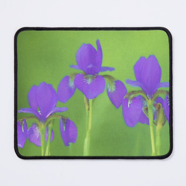 Item preview, Purple Iris designed and sold by alpendesigns.