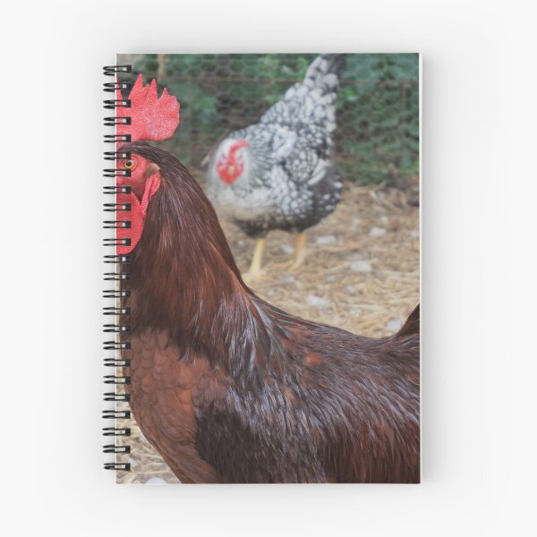 Item preview, Rooster! designed and sold by FloridaKeys1984.