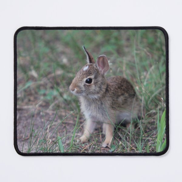 Item preview, Baby Bunny designed and sold by FloridaKeys1984.