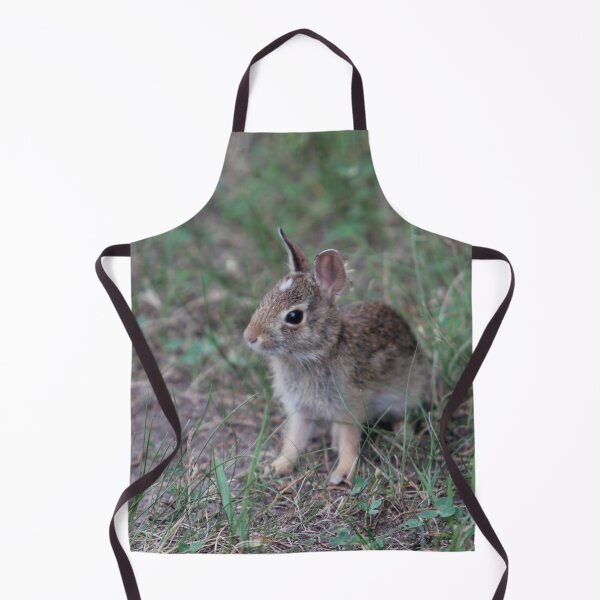 Item preview, Baby Bunny designed and sold by FloridaKeys1984.