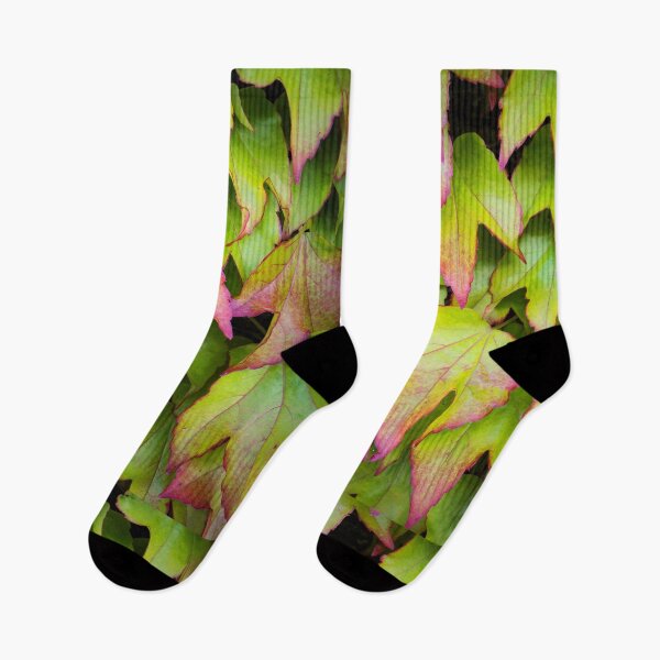 Item preview, Boston Ivy designed and sold by JEZ22.