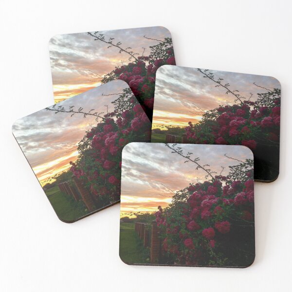 Item preview, Roses and sunset  designed and sold by Sunriseeee.