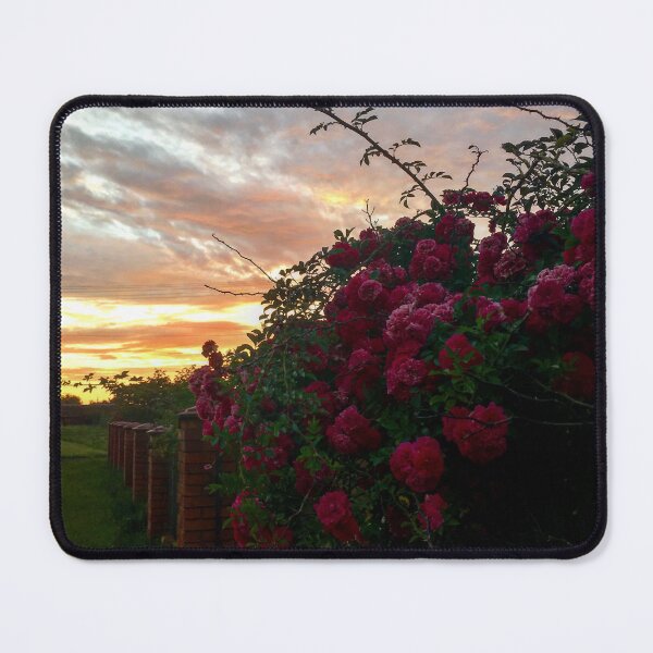 Item preview, Roses and sunset  designed and sold by Sunriseeee.